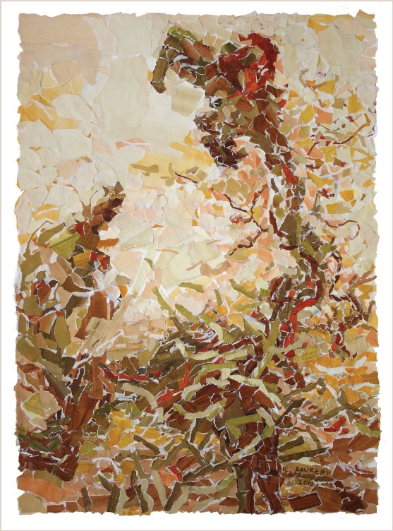 חיה מסתכלת על הזנב - קולאז'